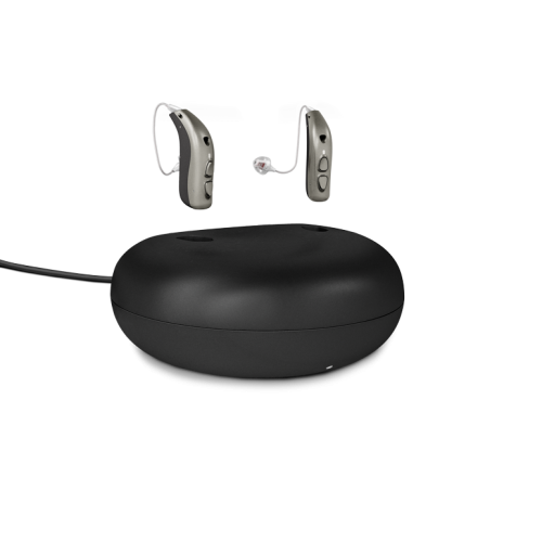 Зарядное устройство Bernafon Charger mnr TR