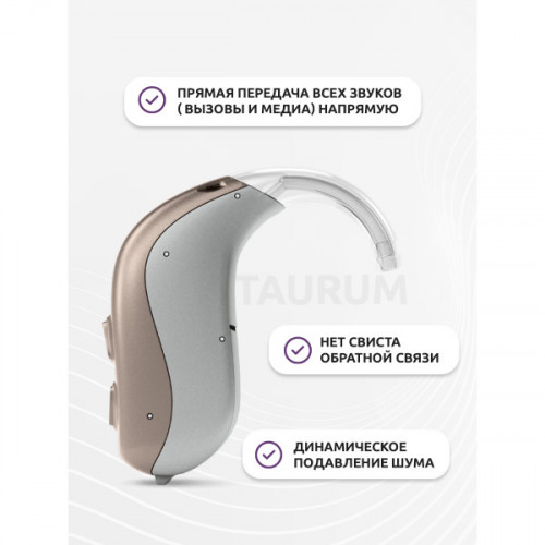 Слуховой аппарат Bernafon Viron 1 105